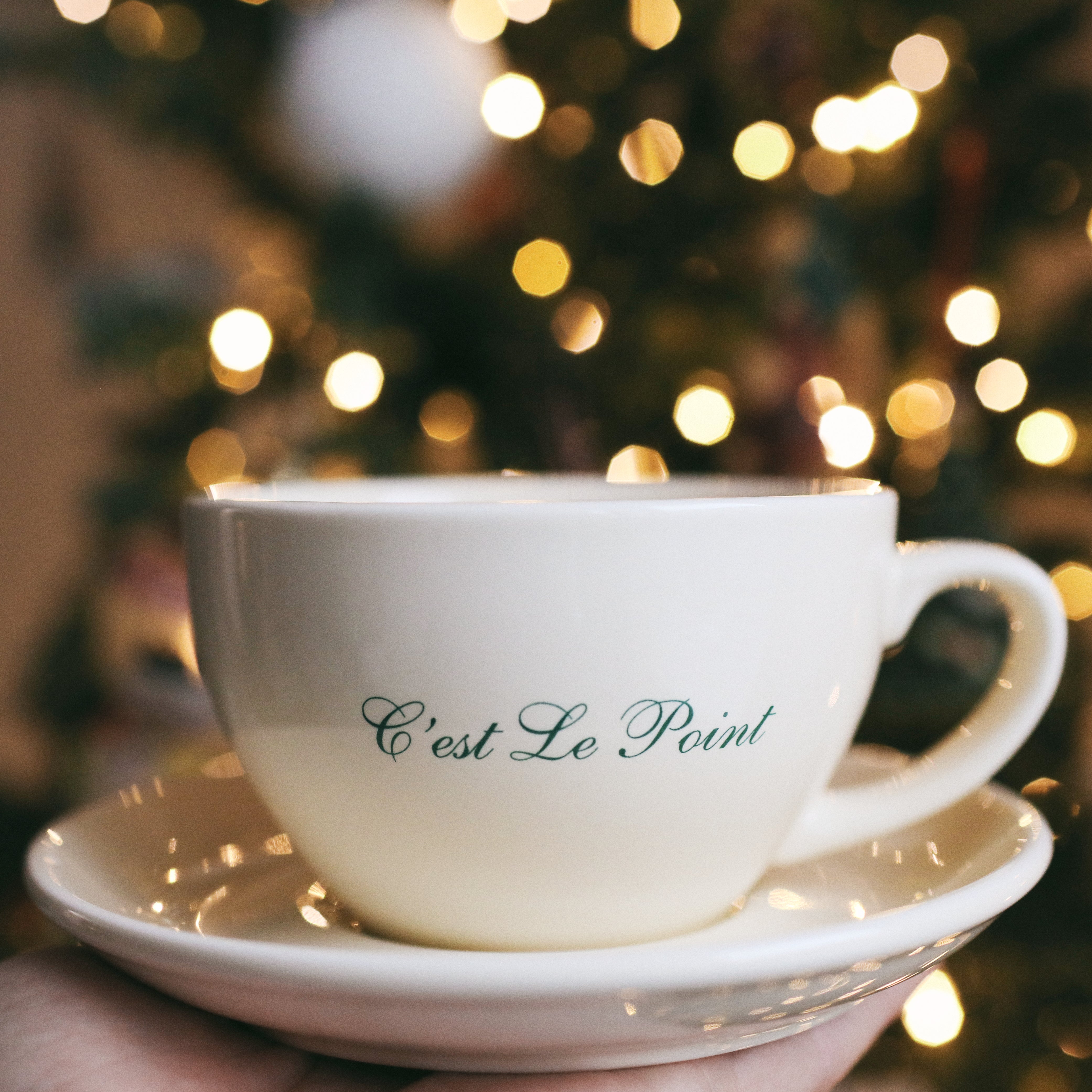 GREEN C'EST LE POINT MUG & SAUCER
