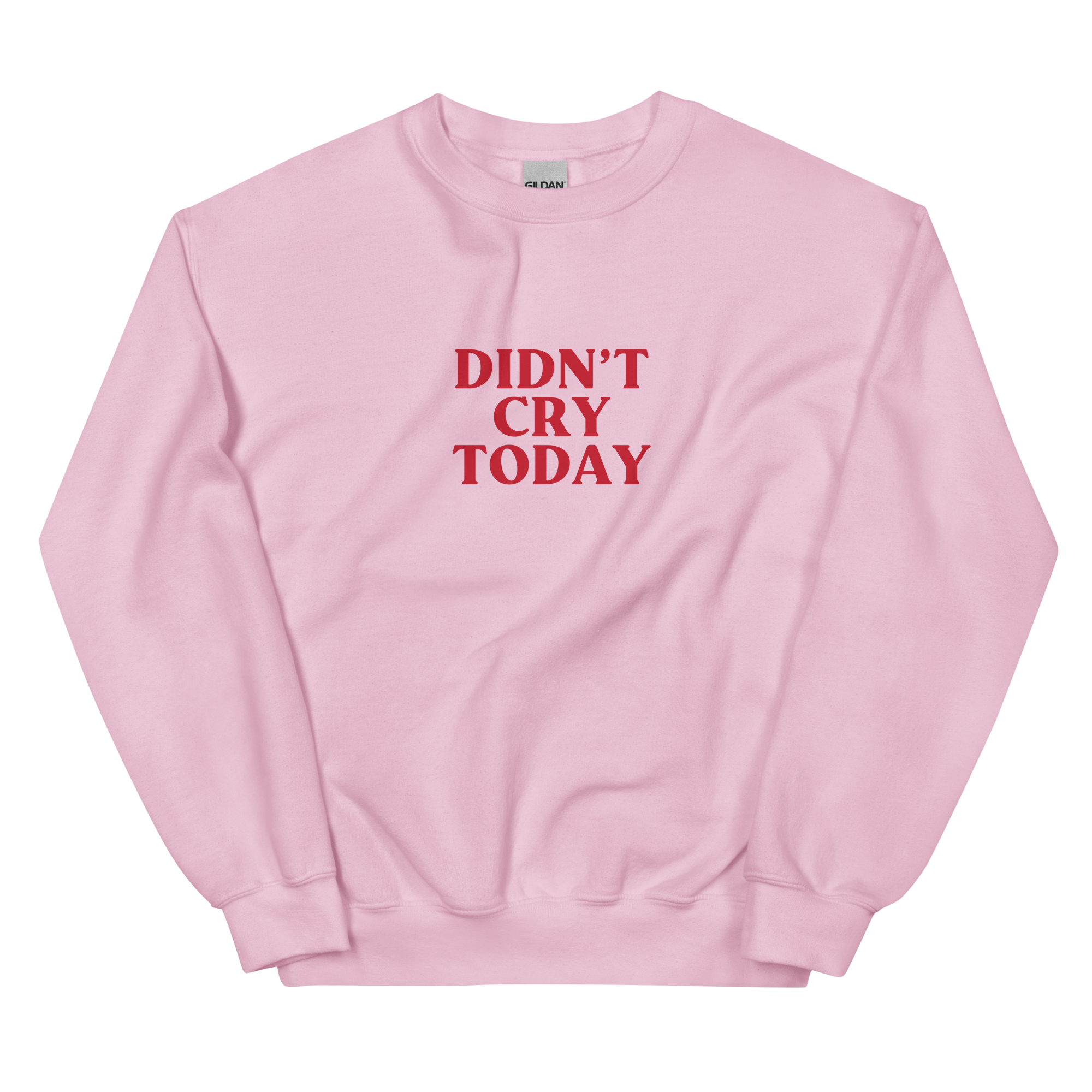 DIDN'T CRY TODAY PINK CREWNECK