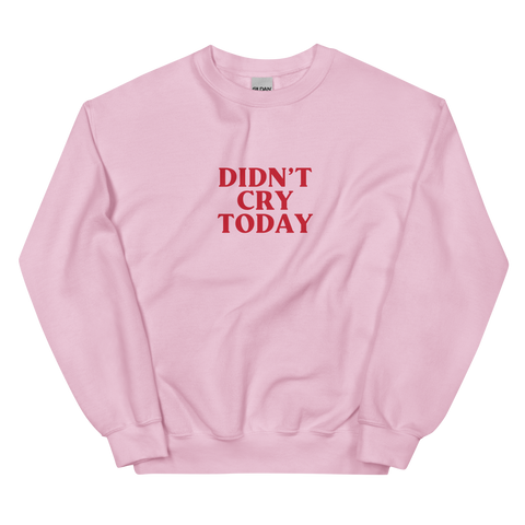 DIDN'T CRY TODAY PINK CREWNECK